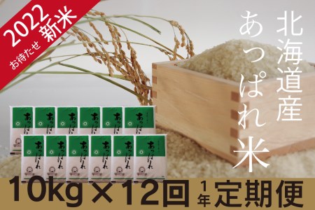 お米定期便　北海道産　あっぱれ米　10kg×12回　今井農場 150-03013-b12E