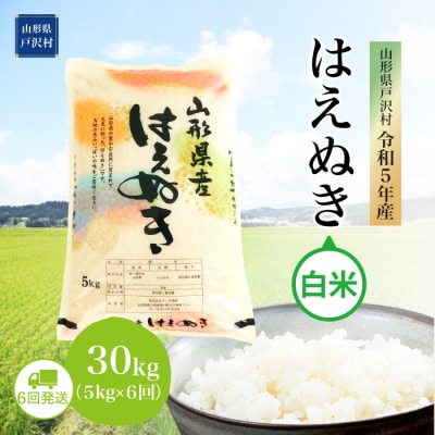 令和5年産 山形県戸沢村 はえぬき  30kg定期便 (5kg×6回)