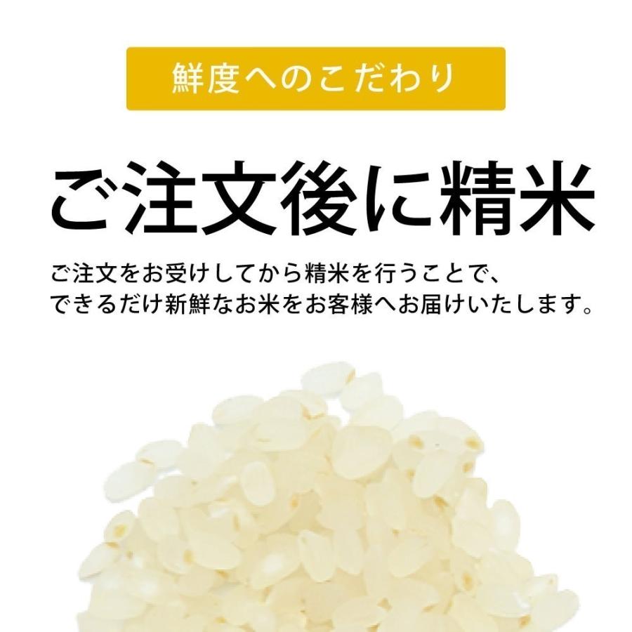 緒方孝行さんの自然栽培米   ササニシキ イセヒカリ   無農薬栽培米   熊本阿蘇産   2023年産