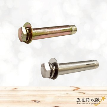 【螺絲】平頭式壁虎 兩分半 三分 不銹鋼 鍍鋅 平頭膨脹螺絲 固定螺絲 螺帽露出 水泥牆壁