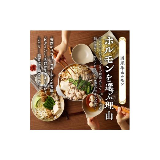 ふるさと納税 愛知県 小牧市 山樹のしょう油もつ鍋　２〜３人前セット