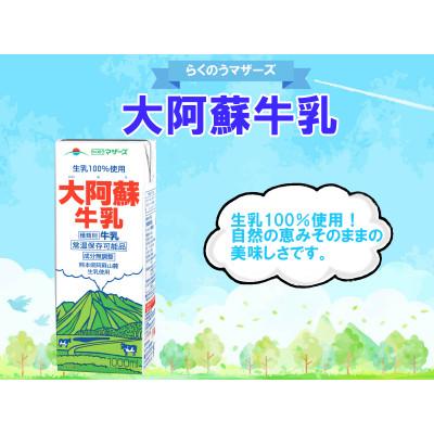 ふるさと納税 合志市 大阿蘇牛乳　1000ml×6本(合志市)