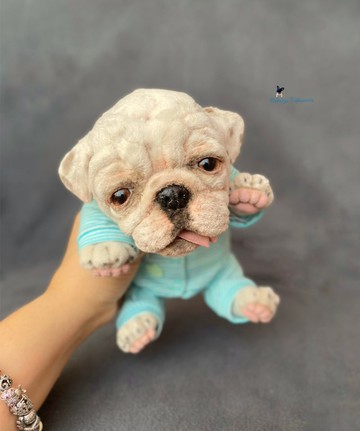 英国斗牛犬小狗 逼真的玩具 毛绒玩具