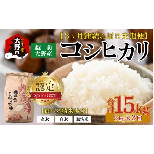 ふるさと納税 福井県 大野市 越前大野産 エコファーマー認定農家栽培こしひかり 玄米 5kg × 3回 計15kg