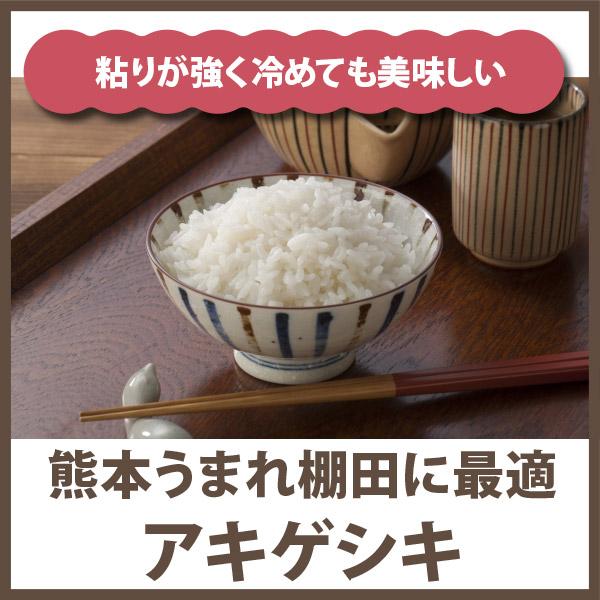 棚田米 令和5年産 熊本県あきげしき精米 5kg