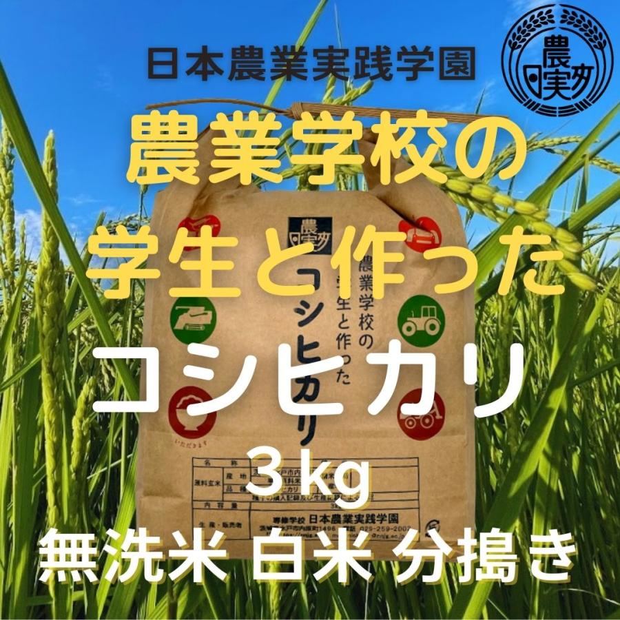 農業学校が作ったコシヒカリ3kg　無洗米　白米　７分つき　３分つき　精米したて　こしひかり　茨城県産　米