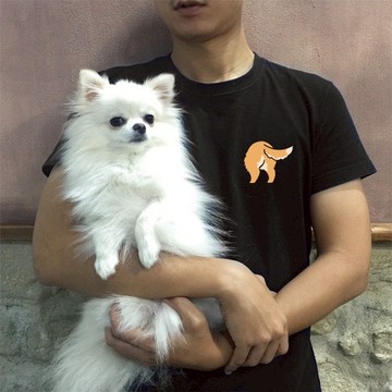 NINKYPUP 毛孩萌屁屁 黃金獵犬反光T-shirt