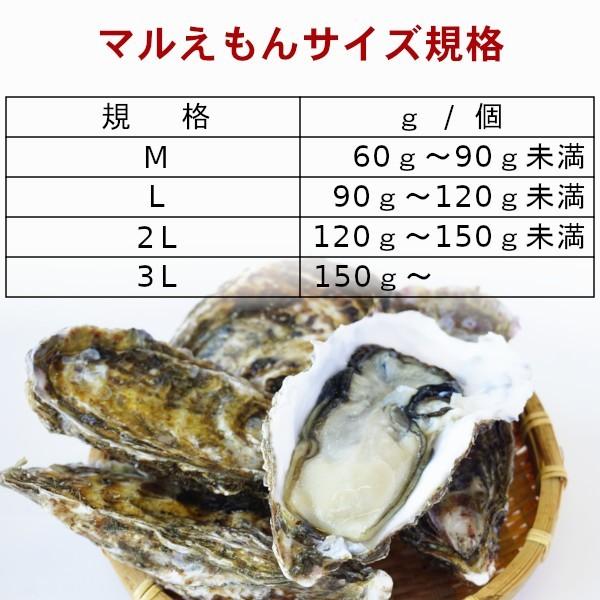 牡蠣 生食用 カキ 殻付き  マルえもん[Lサイズ]10個セット 北海道厚岸産 お取り寄せ グルメ お歳暮 年末年始 お正月