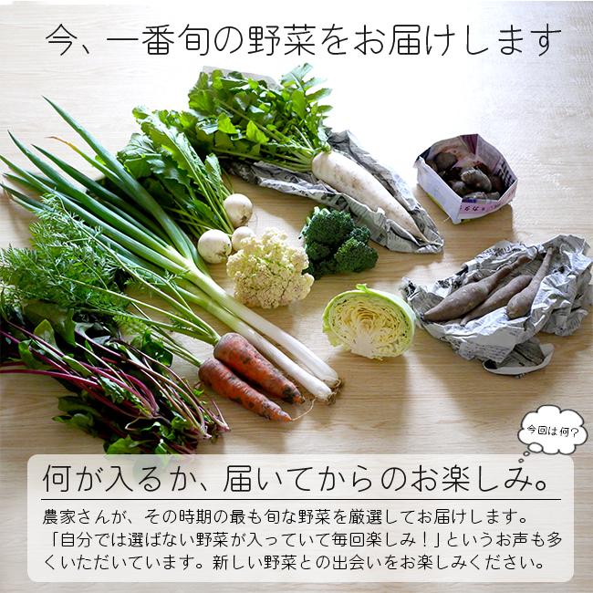 無農薬 野菜セット 農家直送 6〜8品目 安心安全 有機野菜詰め合わせ 大阪 西日本 産地直送 笑ノ百姓 笑の百姓