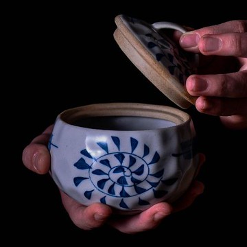 日式帶蓋小燉罐粗陶瓷器皿燕窩專用隔水燉家用羹碗蒸蛋蒸湯燉盅碗