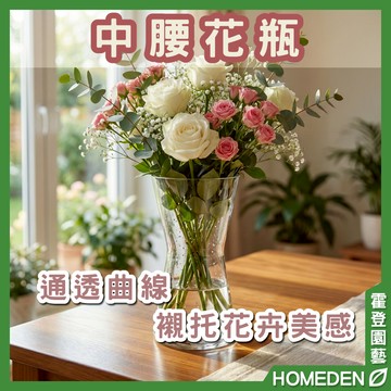 【隔日到貨】中腰花瓶 玻璃花瓶 歐式 簡約 透明花器 水培植物 鮮花插花 居家 花藝 園藝用品【HOMEDEN霍登園藝】