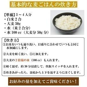 国内産 もっちもち大麦 20kg (5kg×4袋) α化処理 雑穀米 食品 美容 ダイエット 国産 送料無料※北海道・沖縄の方は別途送料加算