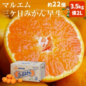 早生三ヶ日みかん 優2L 3.5kg 約22個 送料無料 三ヶ日 みかんお歳暮に！三ケ日みかん 早生みかん ＪＡ三ケ日みかん みかん ミカン 蜜柑