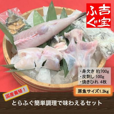 ふるさと納税 上天草市 国産養殖!とらふぐ簡単調理で味わえるセット