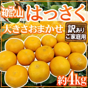 和歌山産 ”はっさく” 訳あり 約4kg 大きさおまかせ 送料無料