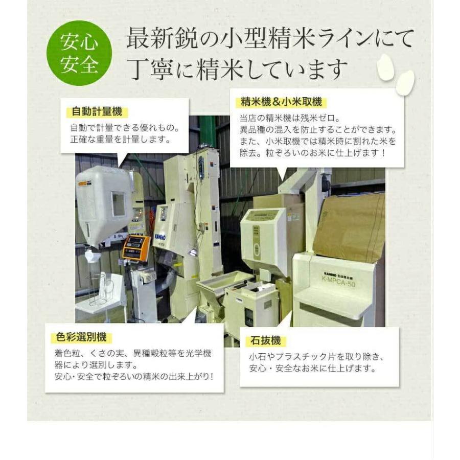 送料無料　令和5年産 新米 千葉県産ふさこがね 玄米30kg (10kg×3袋) 精米無料