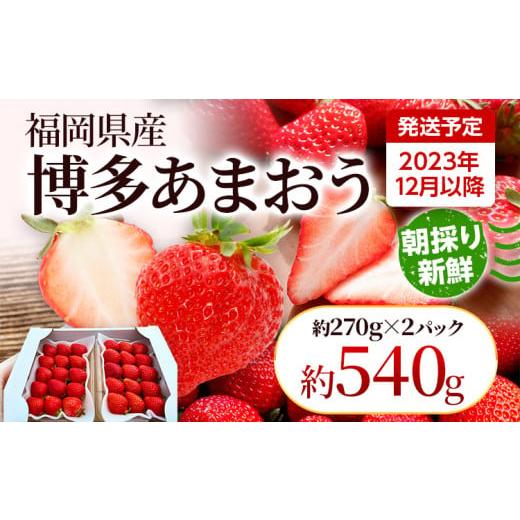 ふるさと納税 福岡県 田川市 農家直送 朝採り新鮮いちご [(約270g)×2パック]＜2023年12月以降順次出荷予定＞