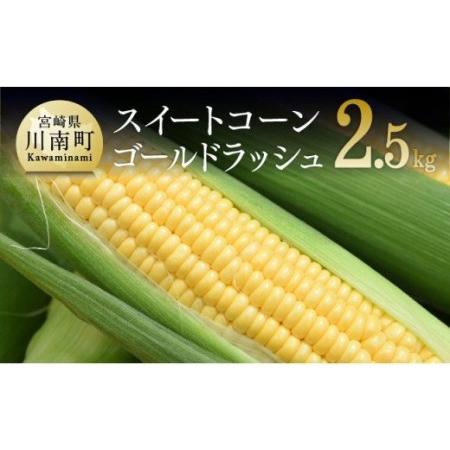 ふるさと納税 2024年発送 朝どれ！守部さんちのスイートコーン（ゴールドラッシュ）2.5kg以上(５〜８本)【 先行予約 数量限定 期間限定 とうもろ.. 宮崎県川南町