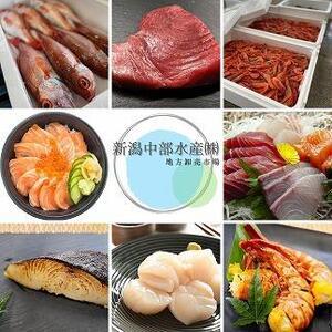 ふるさと納税 越後味噌漬　ほたて貝柱 350g×1P 新潟県南魚沼市