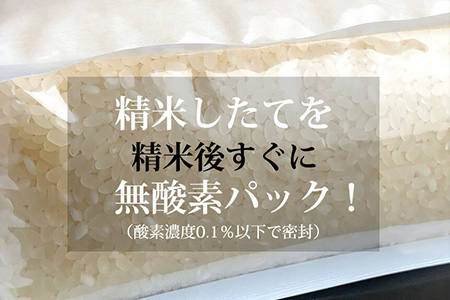 特A 福岡県産米 無洗米 ひのひかり 無酸素フレッシュパック 1.8kg×2  12ヵ月