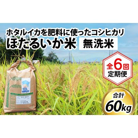 ふるさと納税 ほたるいか米（無洗米10kg）×6回 計60kg 富山県滑川市