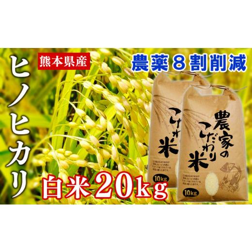 ふるさと納税 熊本県 あさぎり町 熊本県あさぎり町産ヒノヒカリ 白米