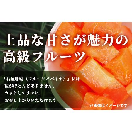 ふるさと納税 石垣珊瑚(フルーツパパイヤ) 3〜4玉 約3kg IF-5 沖縄県石垣市