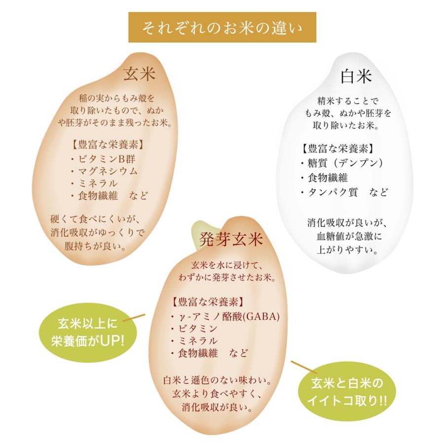 玄米 発芽玄米 発酵 発酵発芽玄米 300g 白米と混ぜるだけ 食べやすい 乳酸菌 GABA ギャバ ミネラル ビタミン 食物繊維 国産 曙米