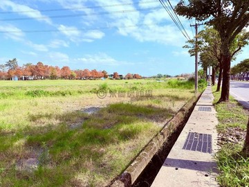 【安農溪首排】三星田心段大面寬臨路優質附照農地｜宜蘭縣三星鄉田心段