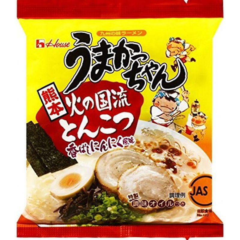 うまかっちゃん〔お試し〕食べ比べセット 各5種 合計12食