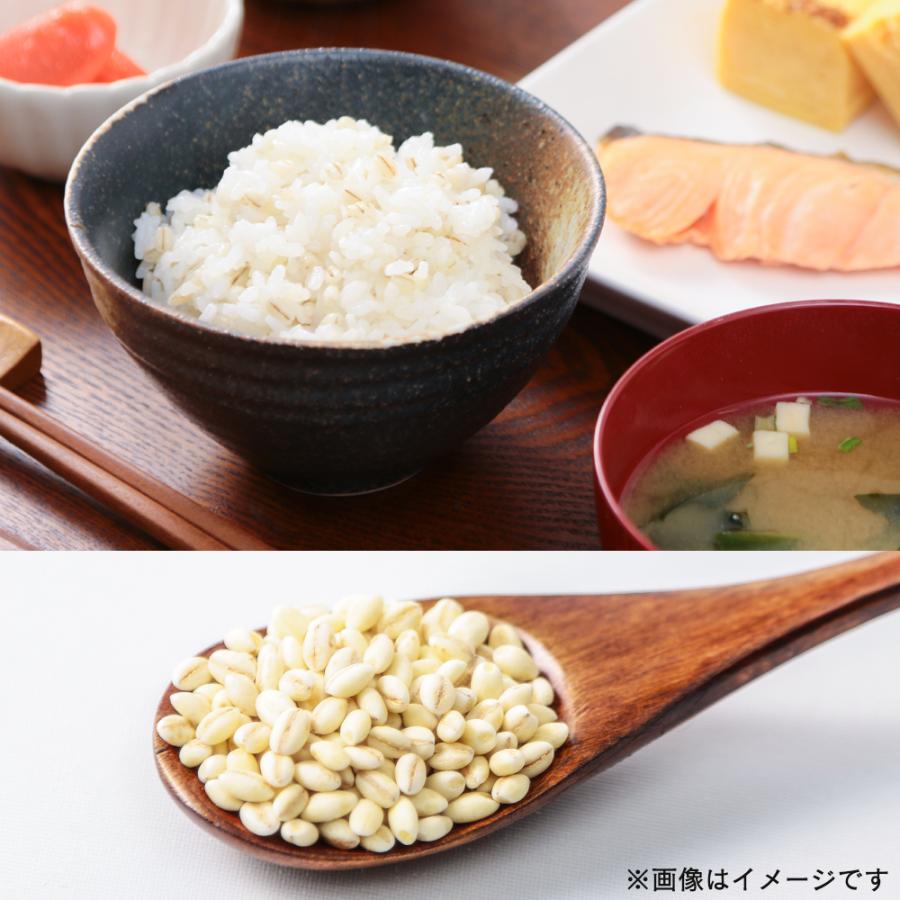 もち麦パックご飯 パックご飯 150g 3食 レトルトご飯 ごはん レトルトパック もち麦 レンジセット 国産 もち麦ごはん アイリス 非常食 保存食