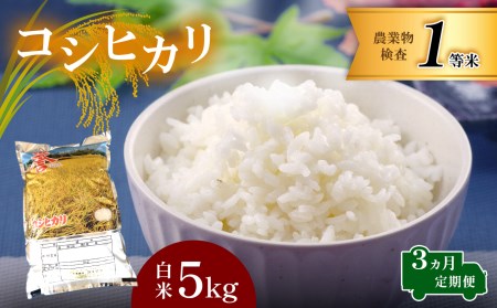 お米 コシヒカリ 白米 3回定期 5kg×3回