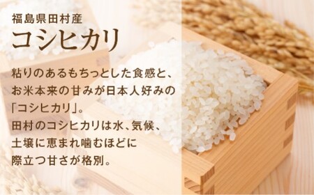 ＼新米／定期便2回 田村産 コシヒカリ10kg お米 福島県 田村市 田村 贈答 美味しい 米 kome コメご飯  特Aランク  一等米 単一米 精米 国産 おすすめ お中元 送料無料  緊急支援品 生活応援 コロナ支援 ふぁせるたむら