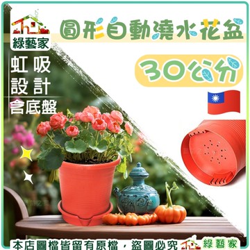 【綠藝家】30公分圓形自動澆水花盆(含底盤)