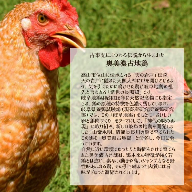 2023年度開始 ギフト 奥美濃古地鶏 鍋セット 3人前 鶏肉 つみれ 塩麹スープ 高山ラーメン