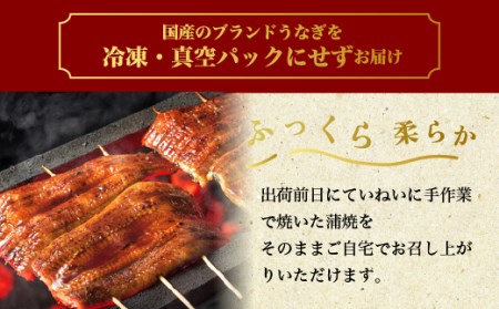 特撰 国産うなぎの蒲焼き2尾 ※離島への配送不可