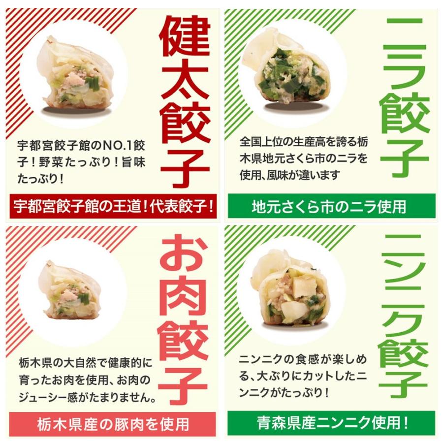 健太餃子 ニラ お肉 ニンニク エビ シソチーズ スタミナ健太 餃子8種×8個 食べ比べセット 宇都宮餃子館 スタミナ 栃木県