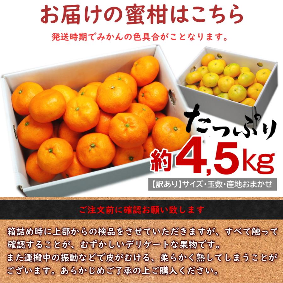 送料無料　訳あり　温州みかん　約4.5kg バラ詰め　※みかん、ミカン、蜜柑、家庭用、訳あり