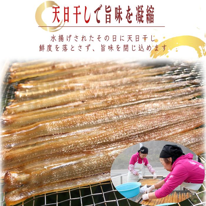 あなご めじろ 穴子 特上 天然あなごの干物 １３０g (大サイズ) (愛知県師崎産)