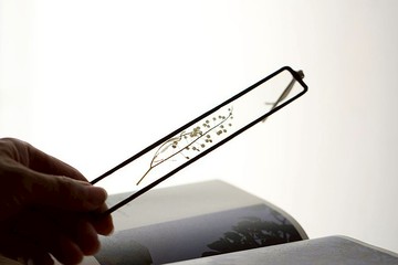 植物圖鑑∣純白系珍珠草∣玻璃鑲崁∣花草標本書籤