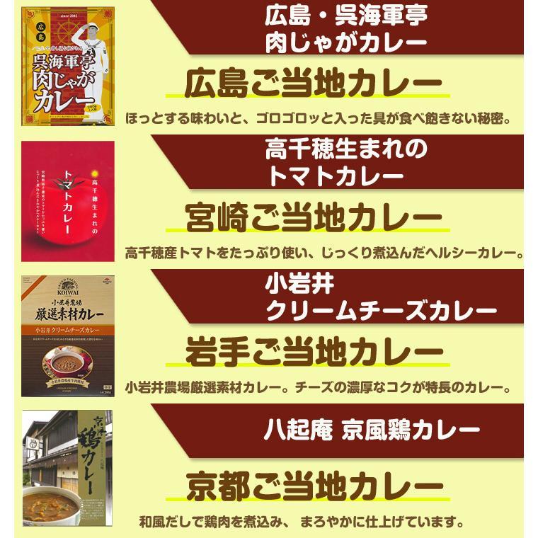 お歳暮カレーセット 王道ご当地カレー11種セット 御歳暮ギフト