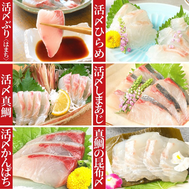 延岡産活〆鮮魚の豪華お刺身（12ヶ月定期便）N019-ZG0104 請関水産