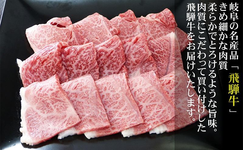 牛肉 飛騨牛 焼き肉 セット 赤身 モモ 又は カタ 300ｇ 黒毛和牛 Ａ5 美味しい お肉 牛 肉 和牛 焼肉 BBQ バーベキュー 