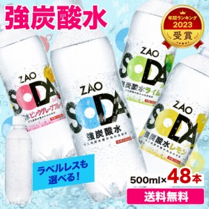 フレーバーも選べる！】炭酸水 500ml 選べる 48本 2ケース 送料無料 強