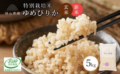 玄米 ゆめぴりか 5kg　特別栽培米産地直送《帰山農園》