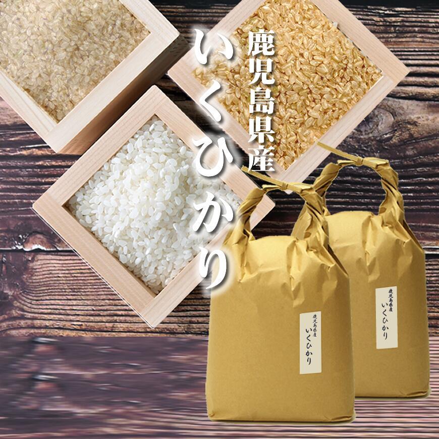  お米 10kg イクヒカリ 10kg 5kg×2袋 令和5年産   お祝い お歳暮 ギフト お取り寄せグルメ　 鹿児島県