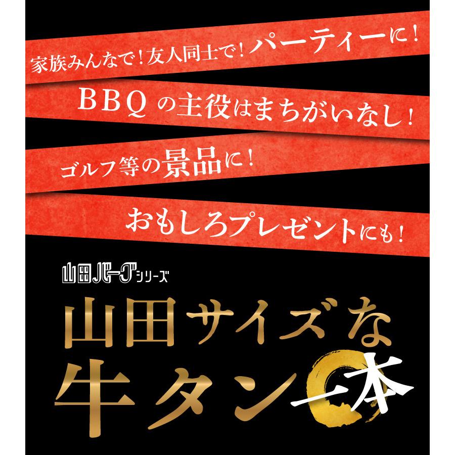 牛タン 1kg ブロック 1本 まるごと 国産 牛 牛たん 山田バーグシリーズ 山田サイズな牛タン 極上タン お歳暮 ギフト にも最適 高級 国産牛 冷凍