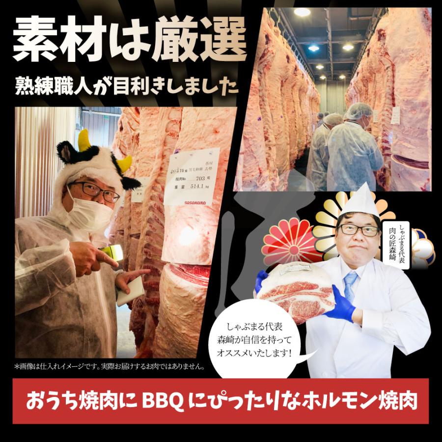 国産牛 ホルモン 480g (240g×2袋) ほるもん 小腸 焼肉用 お得 焼肉 やきにく アウトドア お家焼肉 レジャー 送料無料 冷凍