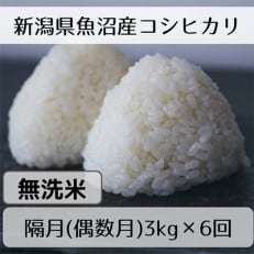 新潟県魚沼産コシヒカリ「山清水米」無洗米3kg(偶数月発送)全6回