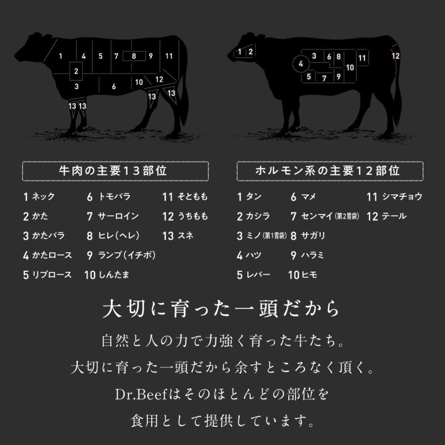 ヒレステーキ 合計1.5kg 150g×10枚 純日本産 グラスフェッドビーフ 国産 黒毛和牛 赤身 牛肉 焼き肉 お歳暮 ギフト 送料無料